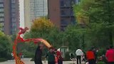 枯藤老树昏鸦，大爷圈着大妈