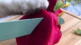 猫王：为了自己的耳朵，本喵学会了做猫耳朵，没有买卖就没有伤害会做饭的猫 猫咪为了生存能有多拼
