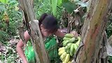 家里有个香蕉园就是好，翠花想吃了，随时就来摘