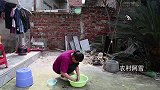 大姐把三条七星鱼放入高锰酸钾中，结果几分钟后，泡出恐怖的虫子