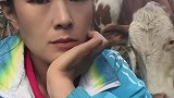小牛犊被拉走卖掉，牛妈妈一直顶女主人求救孩子