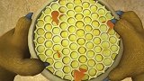 熊二把蜂巢搬回家，本以为有好多蜂蜜吃了，谁知家都弄没了