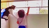 女主人把孩子放家里让猫照看，你有见过这么尽职的猫吗