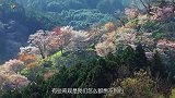 男子隐居沙漠不愿走，25年后被发现，进入洞口所有人惊呆了