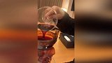 影帝太任性！王景春用华鼎奖杯喝酒：是好鼎 我干了你随意