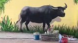 村口墙画太过逼真，把路过的大水牛都看愣了