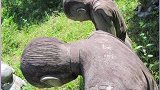 云南腾冲边境掩埋日本兵的倭塚，日方要求拆除4个跪着的日本兵石像。我方回应道：停止供奉战犯，正视历史向我国道歉。