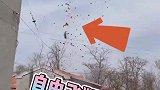 你小时候这样玩过吗