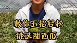 教你五招挑西瓜的小窍门，你会吗
