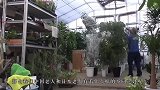 中国老人和日本老人有什么不同看后心疼日本老人，孤独又劳累
