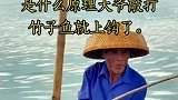 大爷稳坐船头敲竿震鱼再下竿