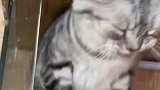 来吧，让你们体验我的良苦用心～