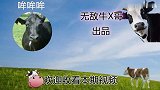 游戏策划侮辱智商的操作【29】