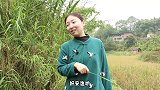 小雨买10只大闸蟹，蟹黄香甜肥美，配上一碗烈酒越吃越过瘾