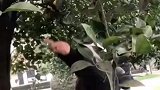 果然人的快乐是建立在痛苦之上的