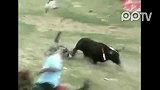 实拍哥伦比亚斗牛疯狂表演六人受伤