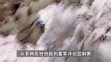 3·15晚会曝光翻新卫生巾后，雷军评论区被网友刷屏，纷纷许愿小米做卫生巾