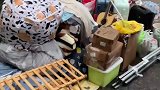 算命的说，今天搬家风调雨顺