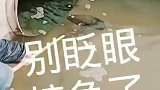 别眨眼了，准备接鱼了