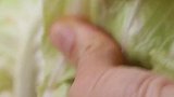 巨下饭的手撕包菜来袭！不好吃来找我！零失败菜谱！