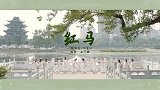 我在江南，撒把欢多无邪！超火古风热歌《红马》古典舞