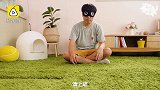 蒙上眼！他能正确猜出5只猫咪吗