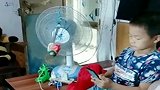 自从儿子放假在家了，眼前这一幕，真是懒出新高度