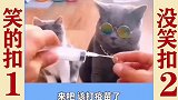 搞笑配音第55期：幽默调侃语录经典承包你每天的笑点