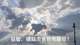 药食同源——益智健脑类食物