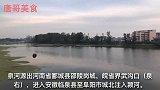 实拍安徽临泉县路边早鱼市，5点开卖鲶鱼河虾鲤鱼黄鳝全是野生的