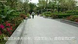 深圳中心公园，市区的一片净土，散散心的好地方