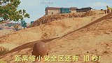 拯救光子队友