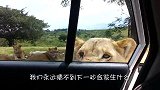 情侣在天台游泳，却突遇“猛兽”偷袭，上演大难临头各自飞！