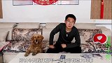 小亮把头像改成女的跟小虎聊天，小虎上来就说要约她去吃饭，真色
