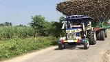 开挂的印度拖拉机拉50吨甘蔗，司机这两把刷子一般人还真没有