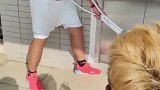 大学生武装护送坐轮椅的室友