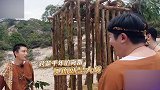 贾乃亮学羊叫太逗了，咩咩咩成了亮亮子的新标志