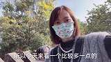 香港人的生活：不能错过的香港美景，元朗大棠红叶，出不去香港！