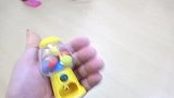花800元入手的小龙猫，不知道能养熟吗，实在太调皮了