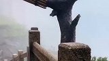 后来才发现，是真的喜欢山河湖泊，喜欢安逸的生活，喜欢无忧无虑