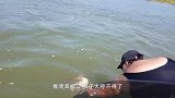 男子捕获大鱼，正准备剥开鱼肚煮着吃，不料竟然发现宝贝