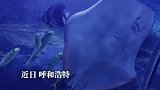 海底世界惊现大鱼吃小鱼，喜欢胖美人鱼的网友们慌了！