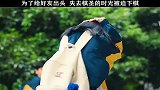 为了给好友出头，失去棋圣的时光被迫下棋