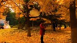 秋去秋来四季更替，岁月轮回，渴望心灵相通，追忆失去的记忆。