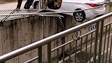 女司机名场面，把车都吓失禁了