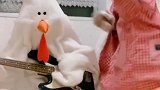 两只搞笑的鸡