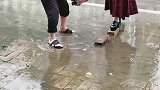 大叔给媳妇铺砖的搞笑操作，这家庭地位很明确啊！