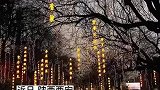 诗歌的天堂，满满都是诗意