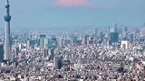 日本最残忍的料理，把鱼肉全部割掉，再放回鱼缸里游泳