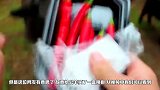 男子给公羊吃辣椒，公羊毫不犹豫一口一个，逗笑在一旁的主人